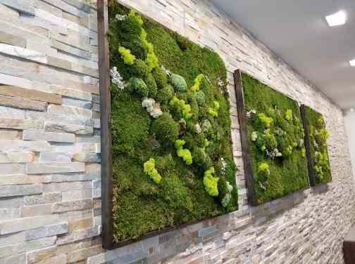 Preserved Moss Wall with Manzanita Branches, White Reindeer Moss